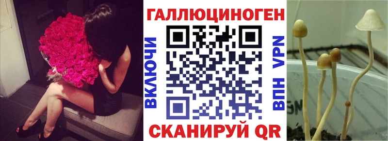 Галлюциногенные грибы Psilocybe  Купить где  Шелехов 